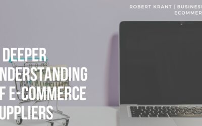 A Deeper Understanding of E-commerce Suppliers