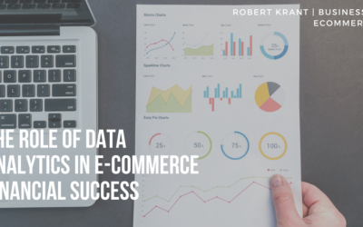The Role of Data Analytics in E-Commerce Financial Success